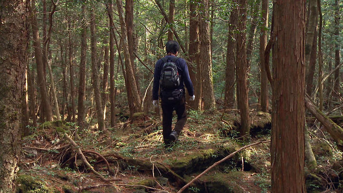 Este adevărat că în Japonia există o pădure a suicidului?