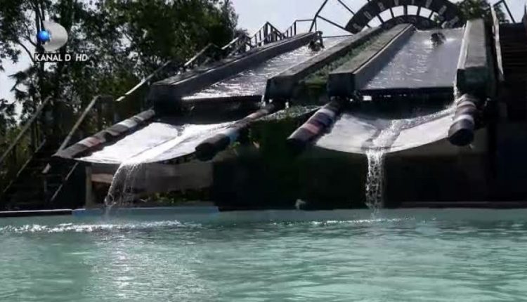 Un fost concurent de la Survivor, condamnat la 4 ani de închisoare