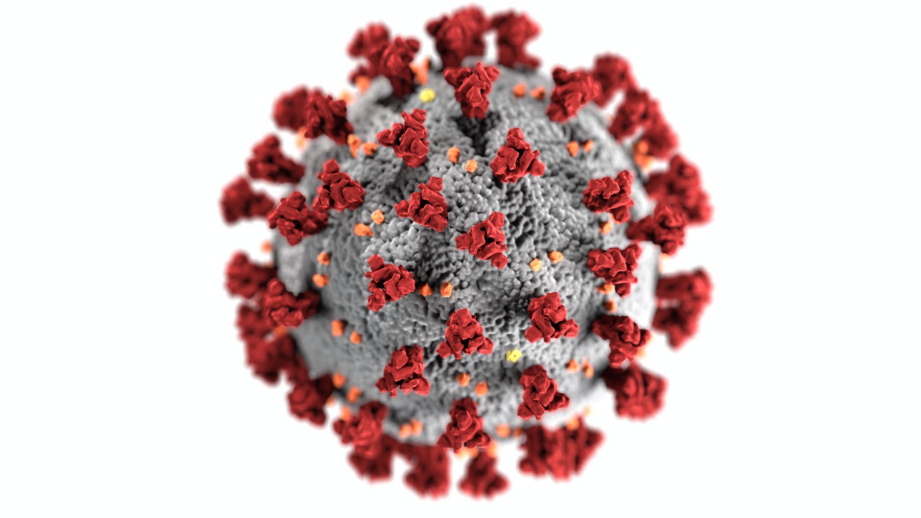 Cât de periculoasă este noua tulpină a coronavirusului, numită Omicron?