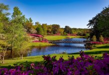 Meteo. Vremea se schimbă radical în toată țara Meteo. Vremea se schimbă radical în toată țara