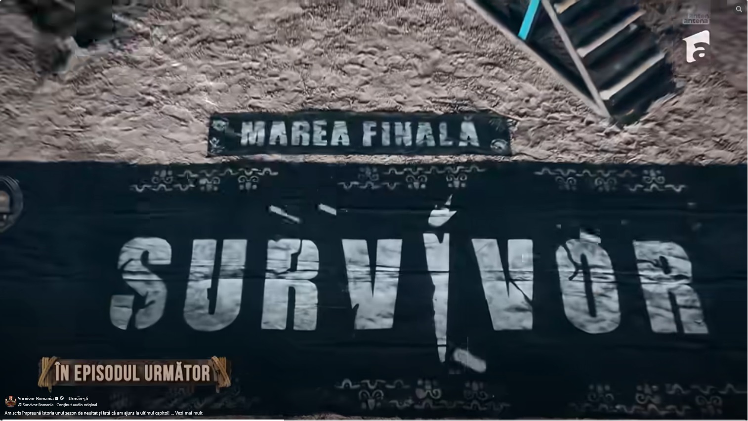 survivor