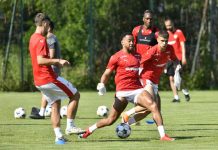 Andrei Nicolescu, mesaj despre Dinamo Andrei Nicolescu, mesaj despre Dinamo